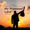 Ziv Tamari - My Promised Land